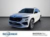 Skoda Kodiaq kreis|rheingau-taunus-kreis