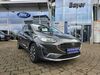 Ford Fiesta schoenburg