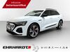 Audi Q8 woelferbuett