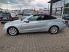 Mercedes-Benz E 250 artlenburg