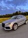Audi RSQ3 dittelsheim-hessloch