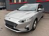 Ford Focus schwallungen
