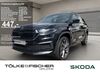 Skoda Kodiaq meinborn