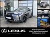 Lexus UX kummersdorf-gut