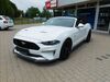 Ford Mustang bueddenstedt