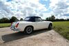 MG MGB enzkloesterle