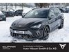Cupra Leon teichweiden