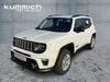Jeep Renegade kuehbach