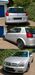 Opel Signum meinborn