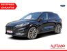 Ford Kuga harzungen