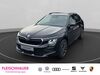 Skoda Kamiq kreis|rhein-sieg-kreis