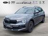 Skoda Kamiq kreis|rheingau-taunus-kreis