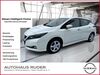 Nissan Leaf Weisenheim am Berg