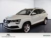 Skoda Karoq bueddenstedt