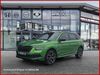 Skoda Kamiq muehlstedt