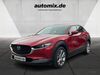 Mazda CX-30 suedergellersen