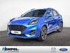 Ford Puma bueddenstedt