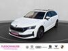 Skoda Octavia kreis|rhein-sieg-kreis