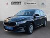 Skoda Fabia trechtingshausen