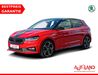 Skoda Fabia muehlstedt