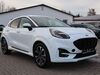 Ford Puma pouch