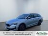 Skoda Octavia vehlgast-kuemmernitz