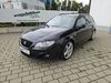Seat Exeo grafenhausen