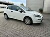 Fiat Punto schoefweg