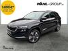 Skoda Karoq ober-hilbersheim