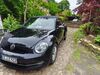 VW Beetle unterluess