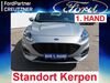 Ford Kuga roedelhausen