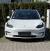 Tesla Model 3 schoental