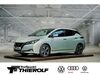Nissan Leaf kreis|rheingau-taunus-kreis