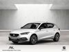 Seat Leon birkweiler