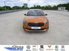Skoda Fabia geisenfeld