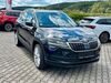 Skoda Karoq roehrig