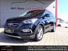 Hyundai SANTA FE Weilen unter den Rinnen