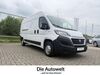 Fiat Ducato Bahlingen am Kaiserstuhl