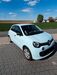 Renault Twingo muenster-sarmsheim