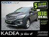 Ford Kuga schoeneiche
