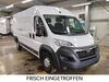 Opel Movano wunstorf
