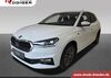 Skoda Fabia kreis|tuebingen