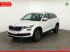 Skoda Kodiaq Laucha an der Unstrut