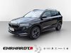 Skoda Karoq roehrig