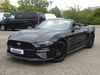Ford Mustang kreis|suedliche-weinstrasse