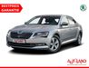 Skoda Superb kreis|suedliche-weinstrasse