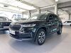 Skoda Kodiaq Voerde (Niederrhein)