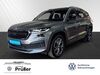 Skoda Kodiaq kuehbach