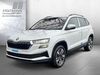 Skoda Karoq dorn-duerkheim