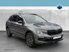 Skoda Kamiq schoena-kolpien
